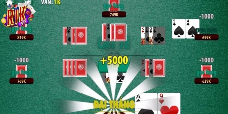 Quy tắc bạn cần phải nắm khi tham gia catte Rikvip